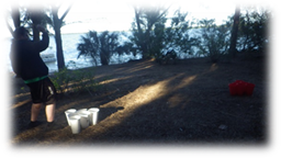 A group of white cups on the ground

Description automatically generated