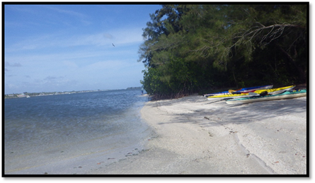 A beach with kayaks and trees

Description automatically generated