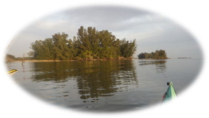 A body of water with trees in the background

Description automatically generated