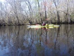 A person in a canoe on a lake surrounded by trees

Description automatically generated with low confidence