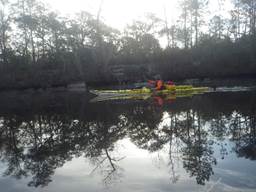 A person in a boat on a lake surrounded by trees

Description automatically generated with low confidence